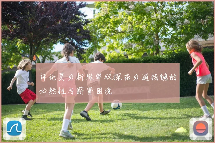 评论员分析绿军双探花分道扬镳的必然性与薪资困境